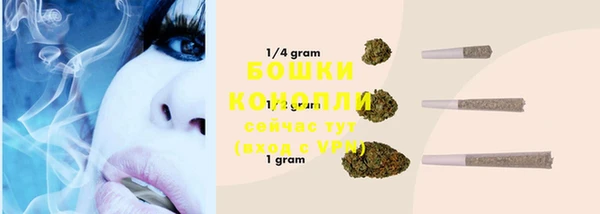 стафф Волоколамск