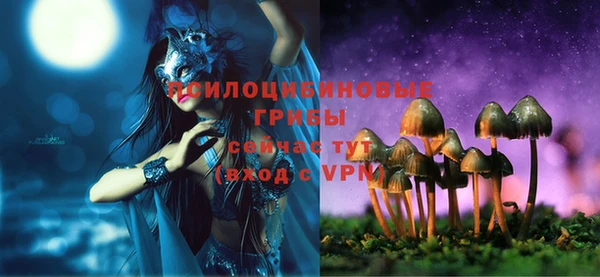крисы Волосово